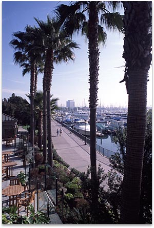 contact_pic1.jpg