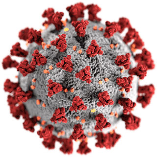 SARS-CoV-2 Virus