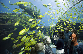 attractions_pic2.jpg